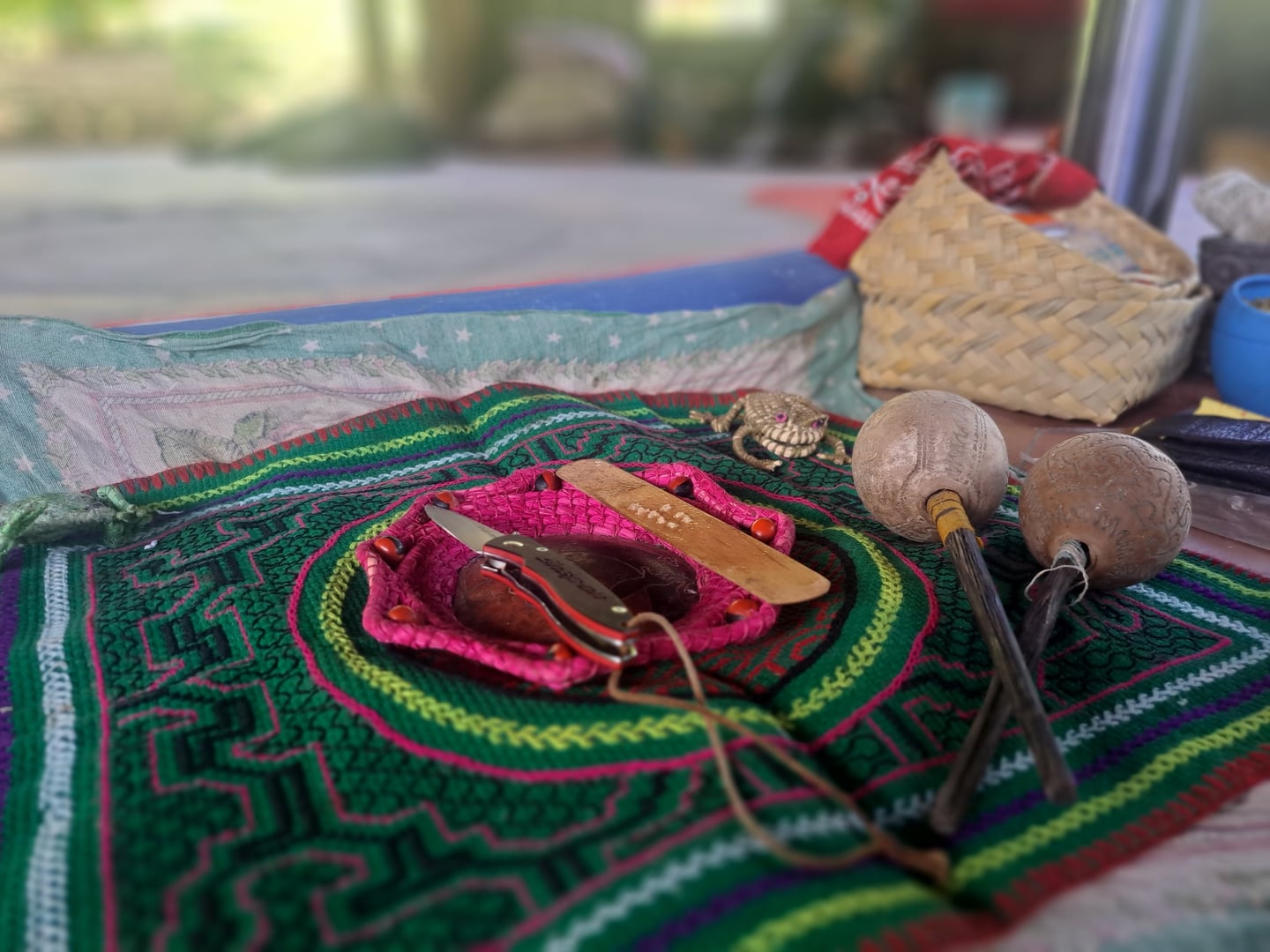 Ceremonia de Ayahuasca en Hayulima Natural Reserve – 11 de julio de 2026