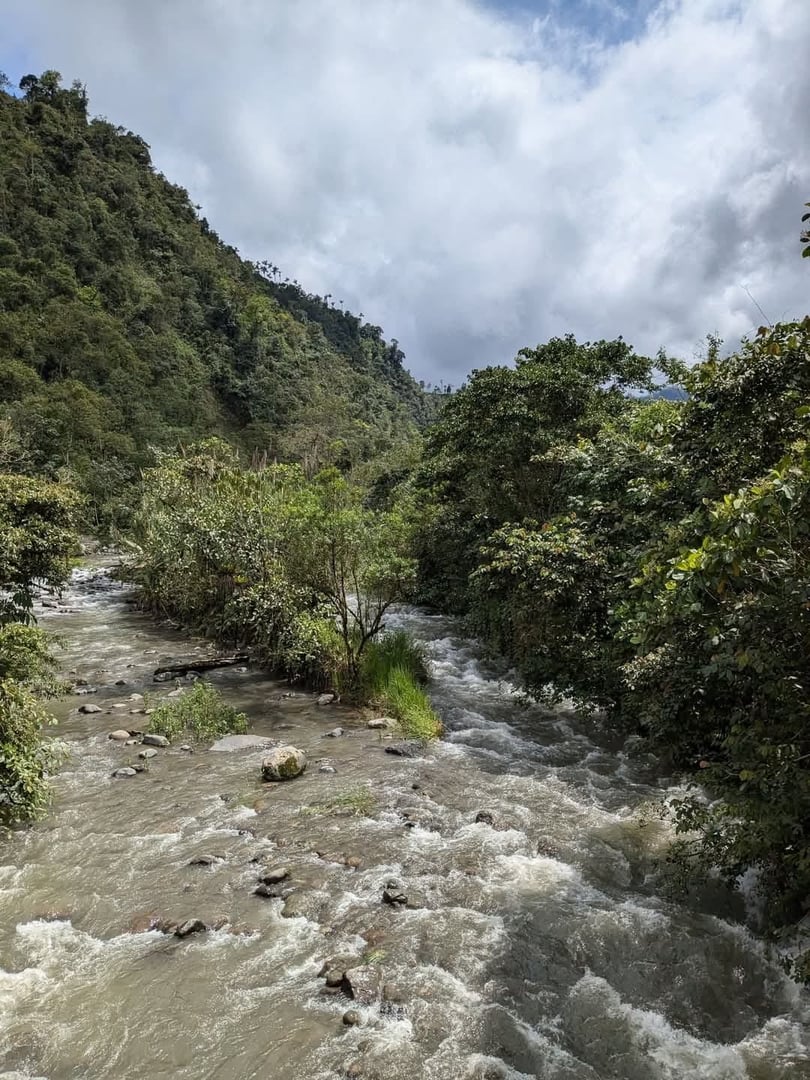 Ceremonia de Ayahuasca en Hayulima Natural Reserve – 11 de julio de 2026