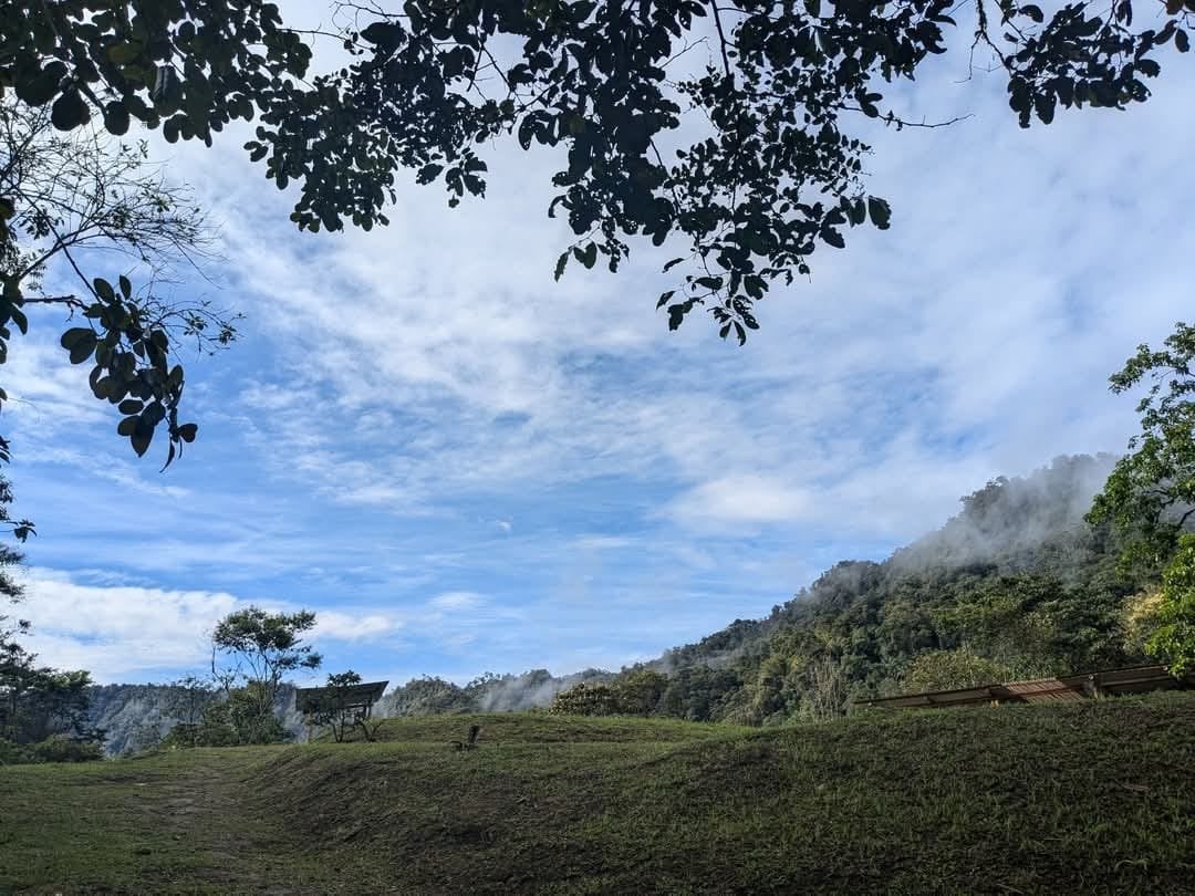 Ceremonia de Ayahuasca en Hayulima Natural Reserve – 11 de julio de 2026