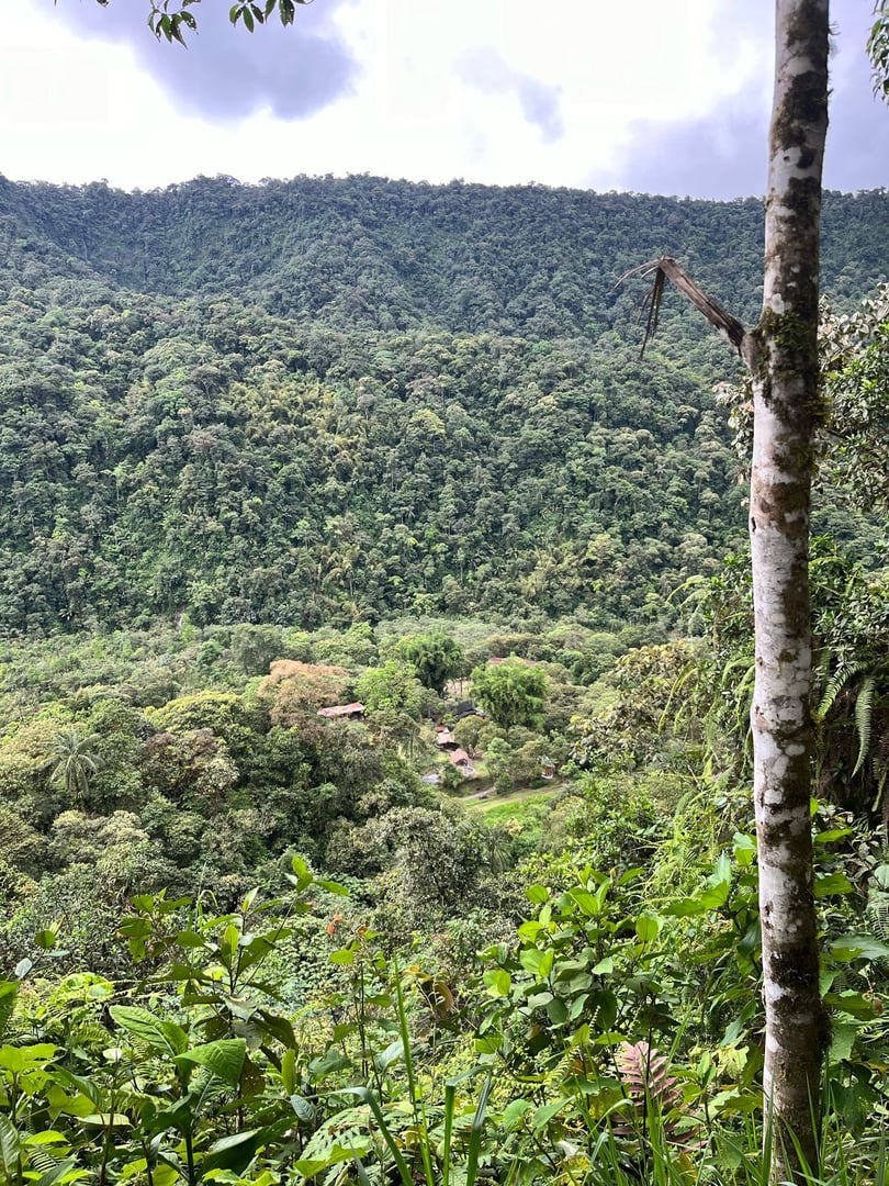 Ceremonia de Ayahuasca en Hayulima Natural Reserve – 11 de julio de 2026