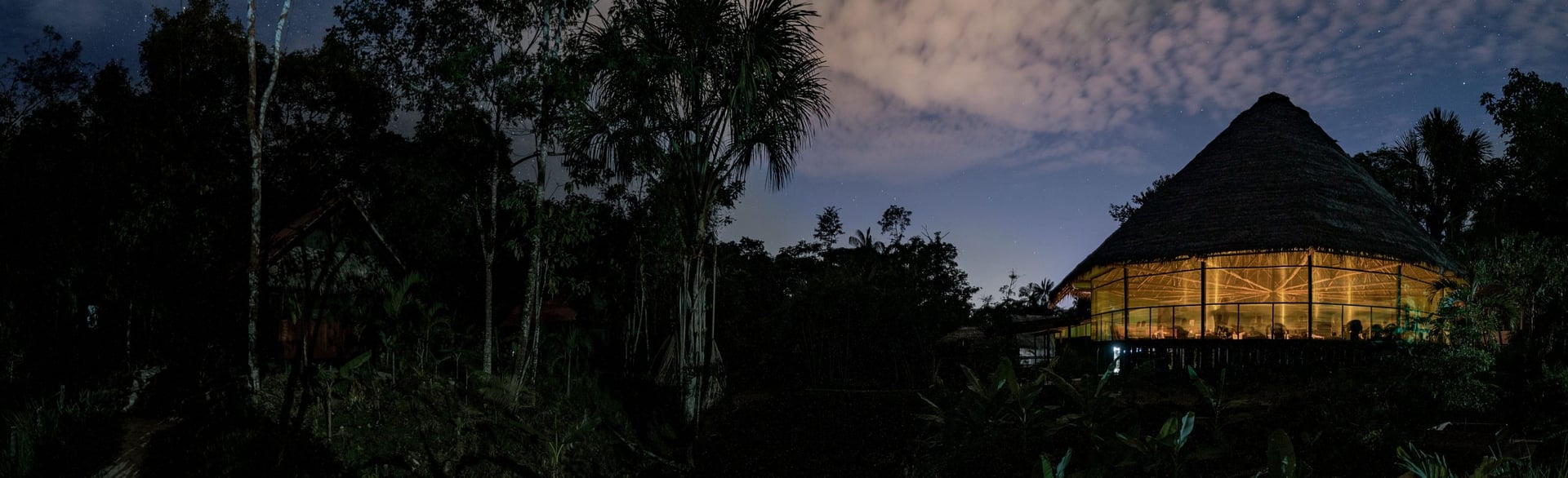 Ayahuasca Healing Retiro + Retiro de Integración de 5 Días