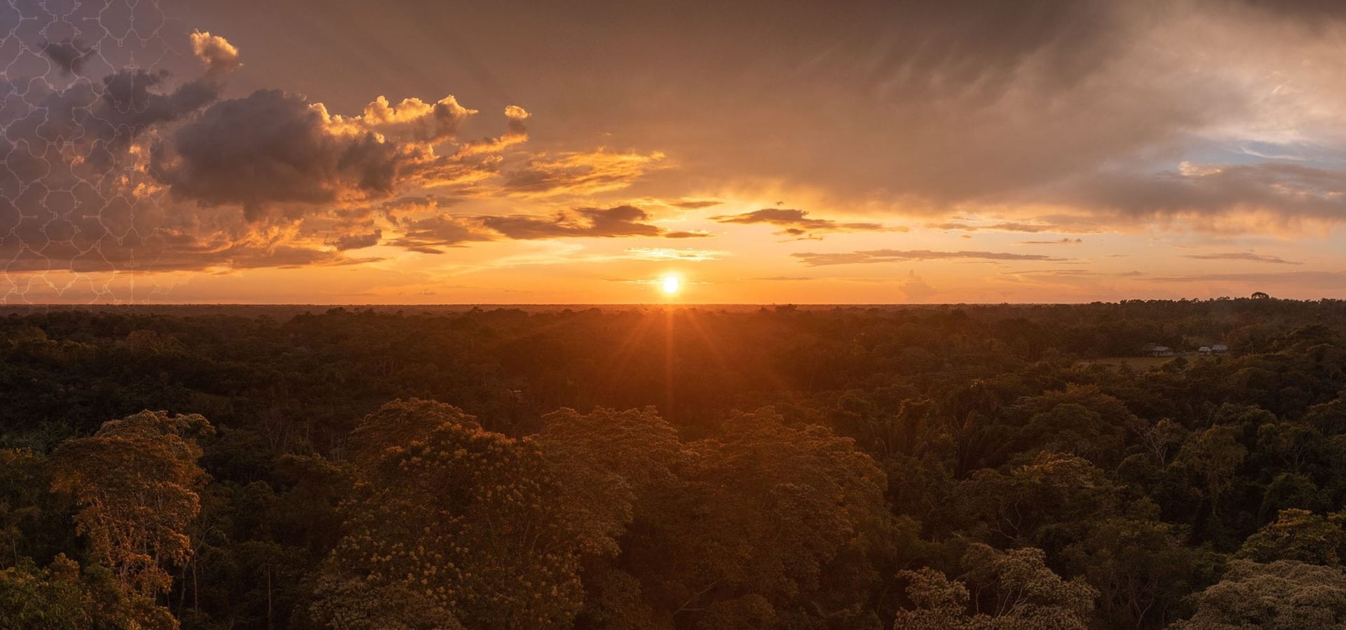 Ayahuasca Healing Retiro + Retiro de Integración de 5 Días