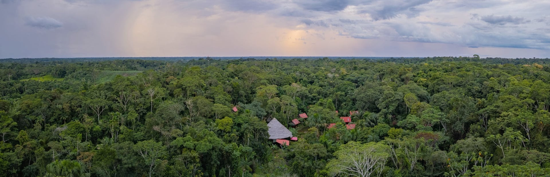 Ayahuasca Healing Retiro + Retiro de Integración de 5 Días
