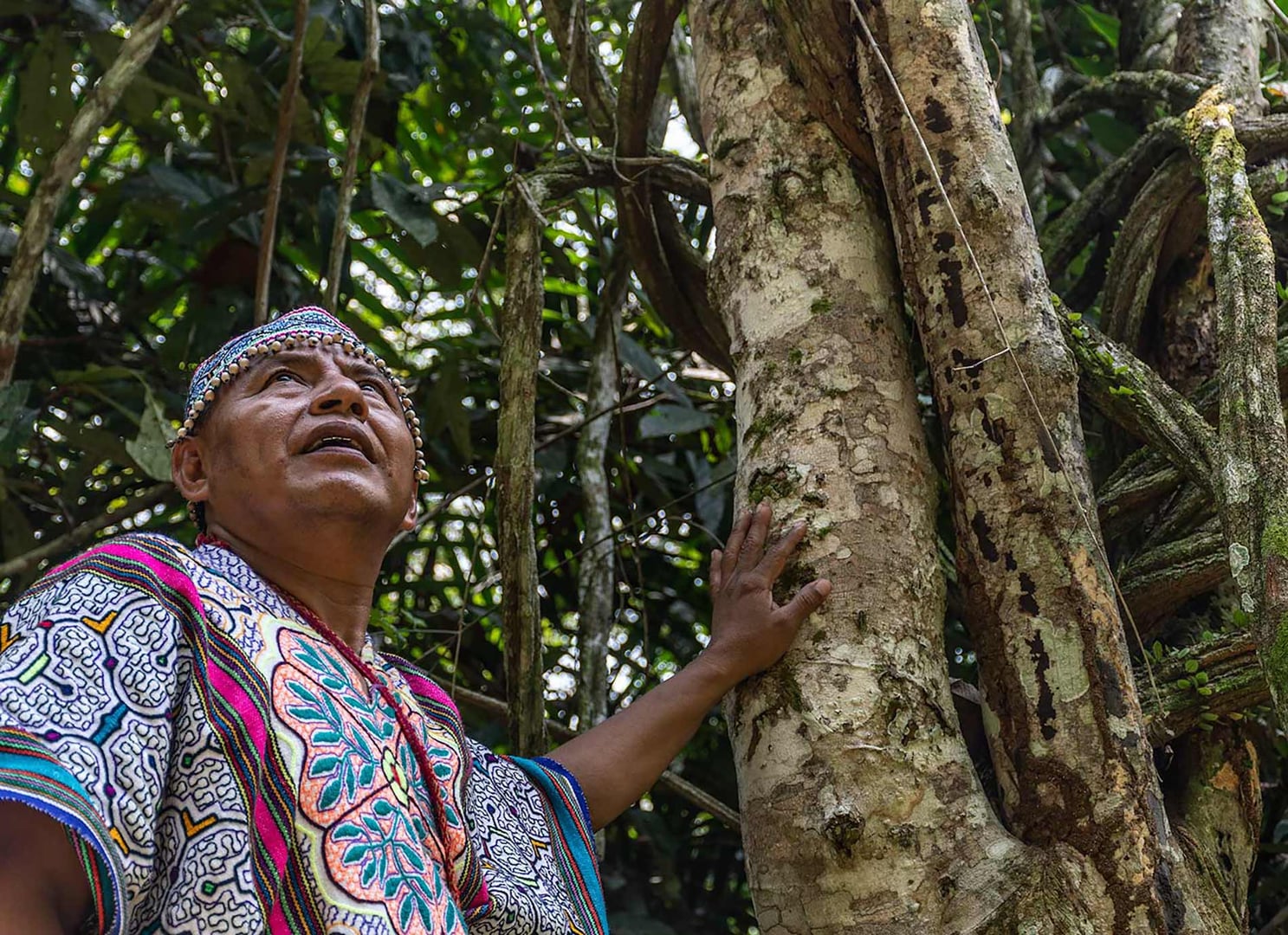 Ayahuasca Healing Retiro + Retiro de Integración de 5 Días