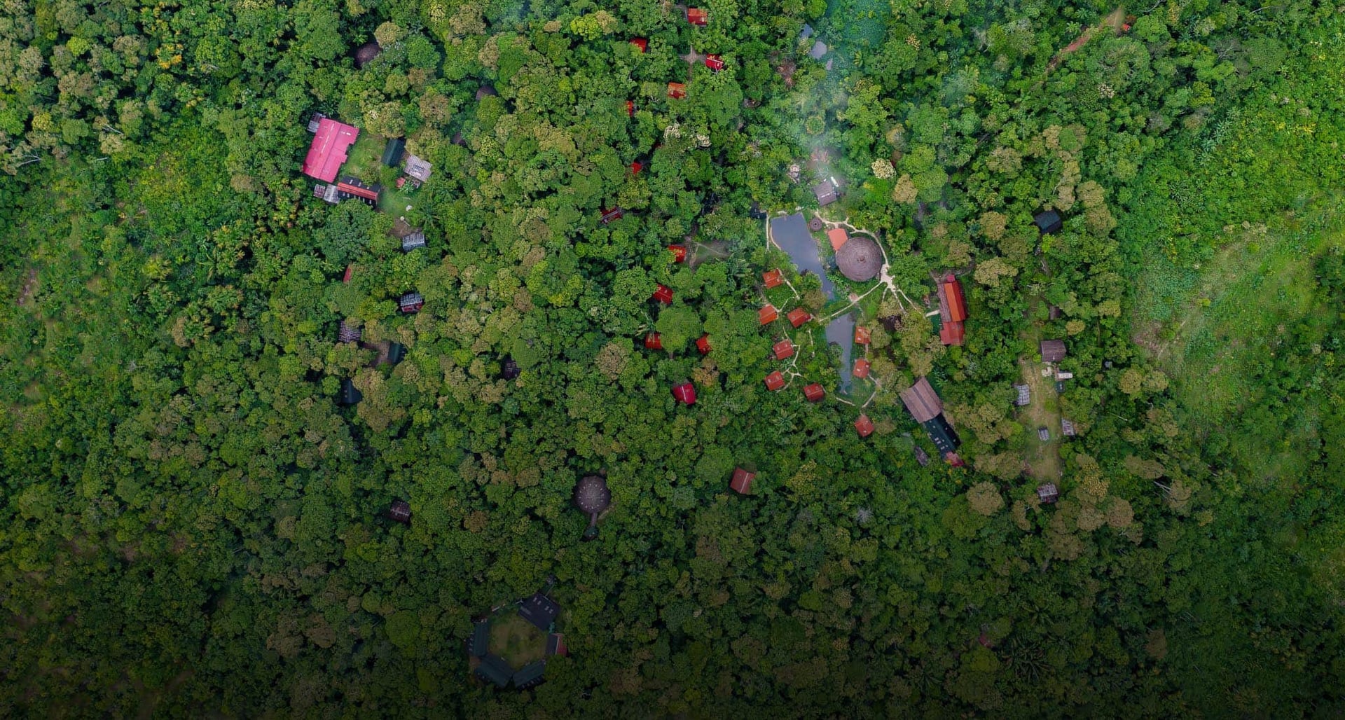 Ayahuasca Healing Retiro + Retiro de Integración de 5 Días