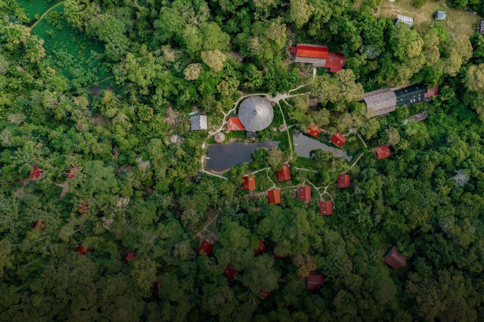 Ayahuasca Healing Retiro + Retiro de Integración de 5 Días