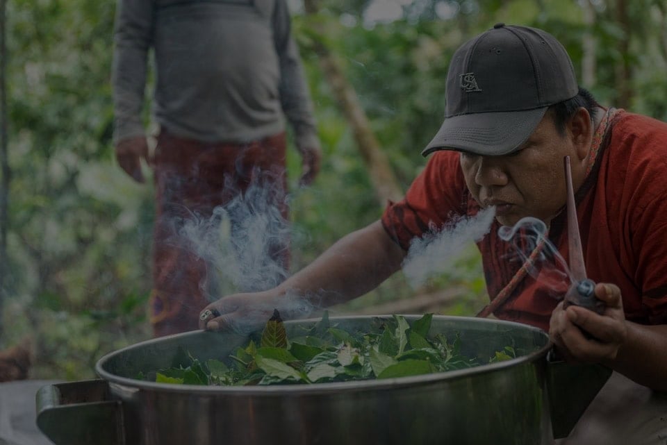 Ayahuasca Healing Retiro + Retiro de Integración de 5 Días