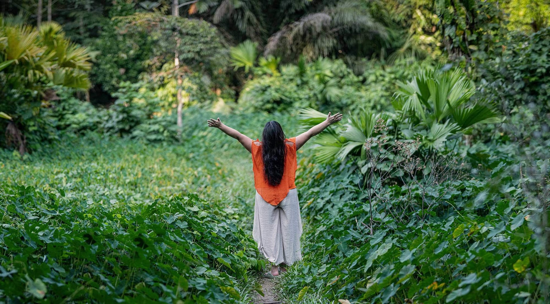 Ayahuasca Healing Retiro + Retiro de Integración de 5 Días