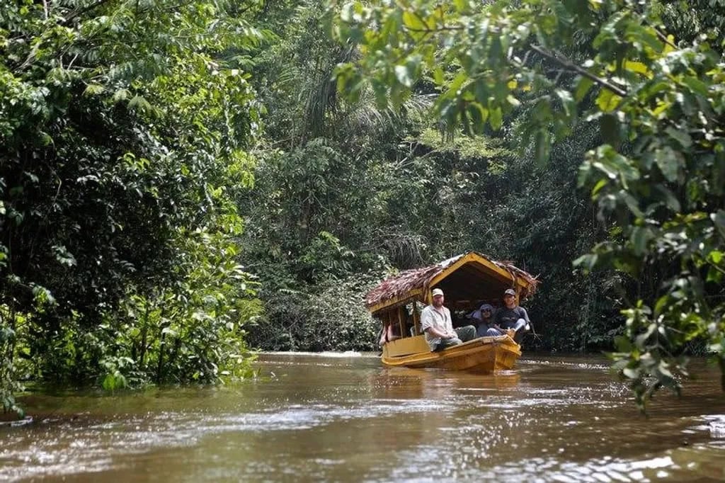 Ayahuasca Healing Retiro + Retiro de Integración de 5 Días