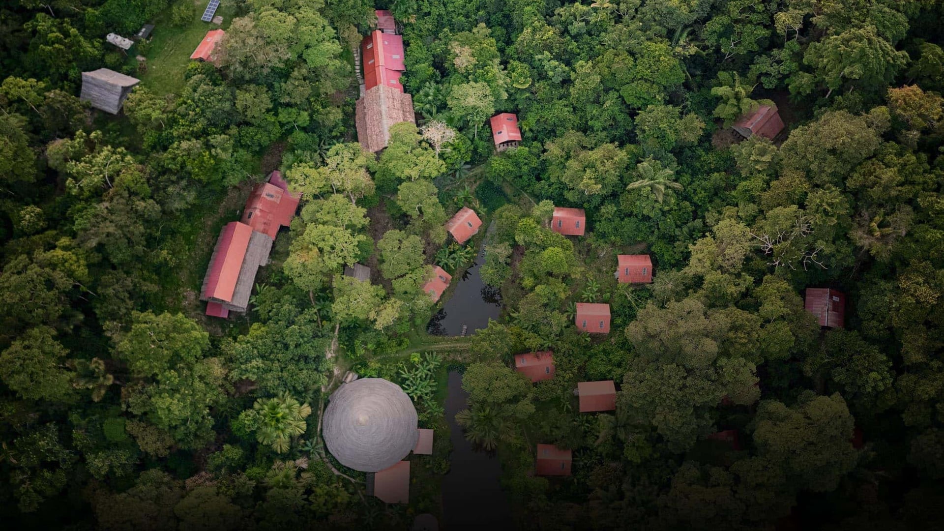 Ayahuasca Healing Retiro + Retiro de Integración de 5 Días