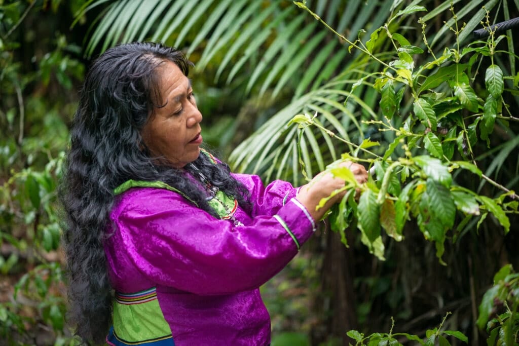 Retiro de sanación con ayahuasca para mujeres