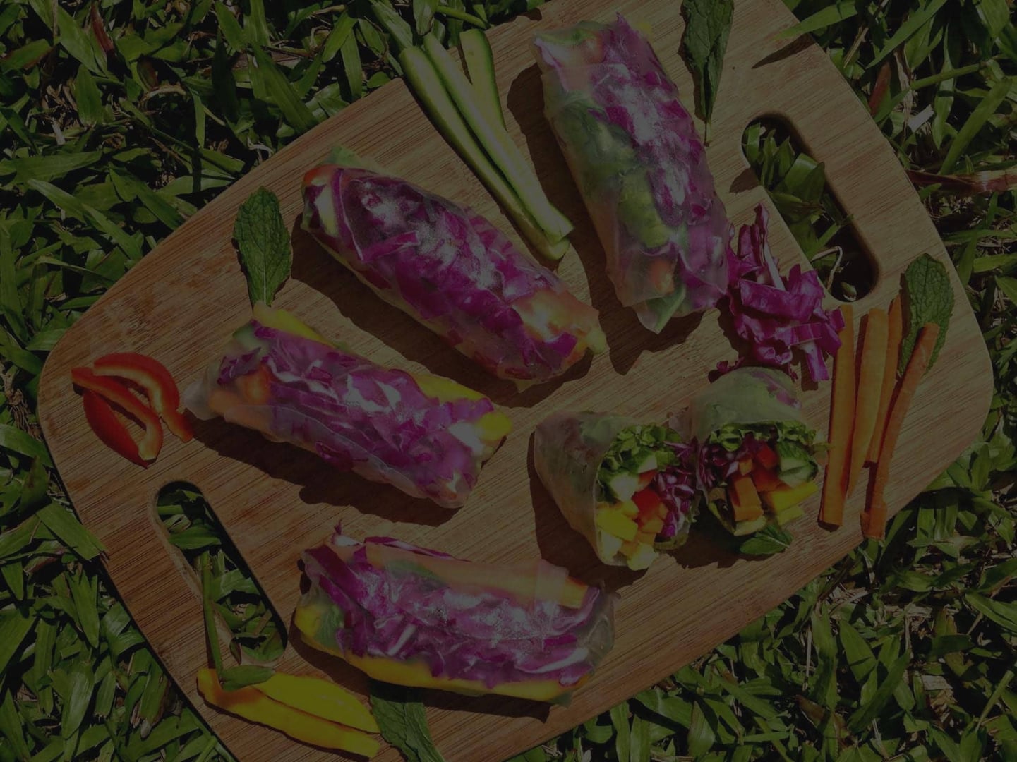 Retiro de sanación con ayahuasca para mujeres
