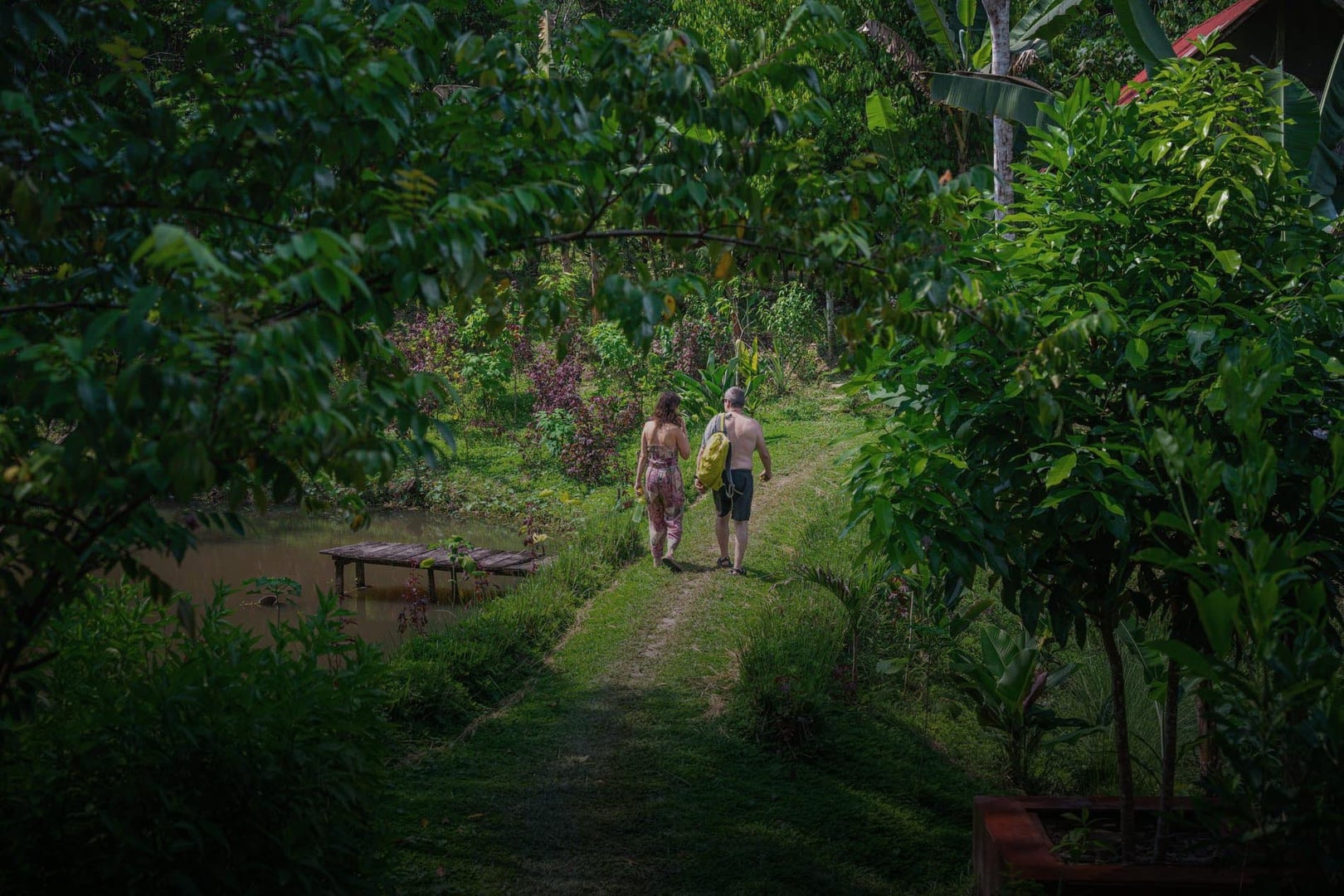 Retiro de sanación con ayahuasca para mujeres