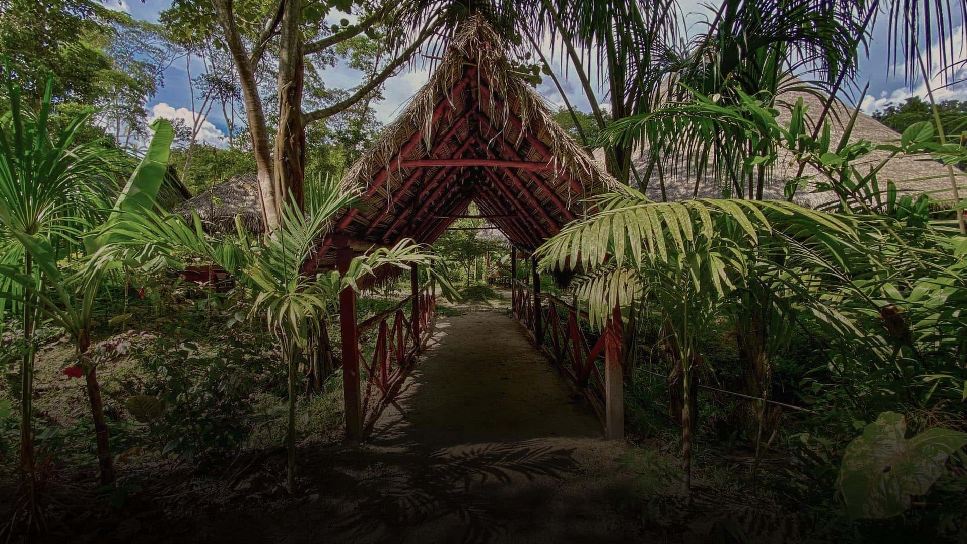 Retiro de sanación con ayahuasca para mujeres