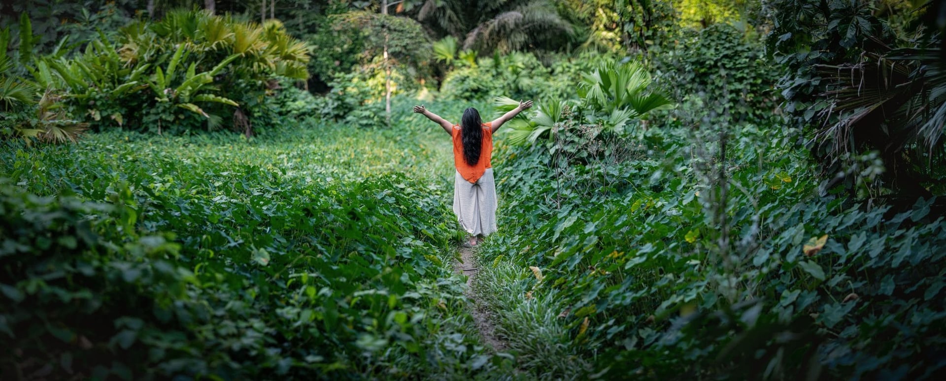 Retiro de Ayahuasca para Profesionales de la Salud 2026