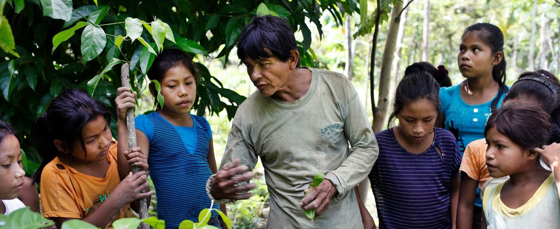 Living in Alignment Ayahuasca Healing Retiro + 5-Day Extensión de Integración Retiro