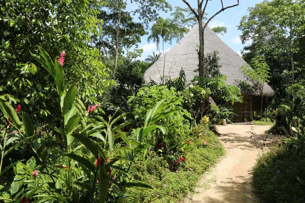 Living in Alignment Ayahuasca Healing Retiro + 5-Day Extensión de Integración Retiro