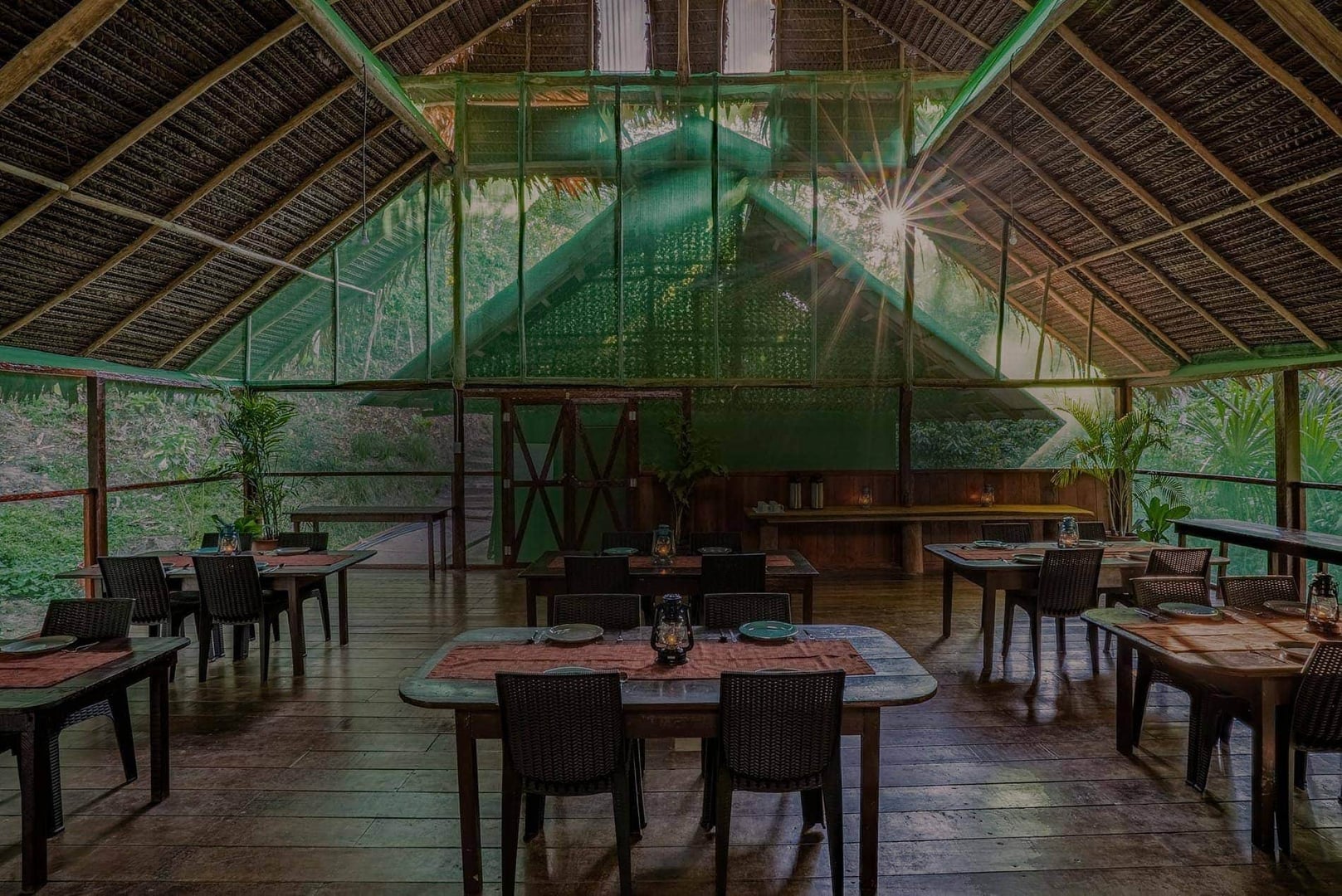 Dietas Tradicionales de Plantas en Shipibo Rao