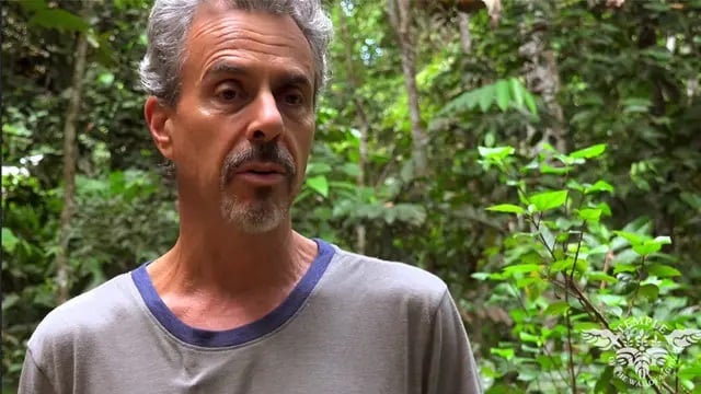 Dietas Tradicionales de Plantas en Shipibo Rao