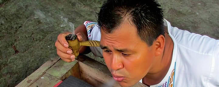 Retiro Rejuvenecedor de Ayahuasca de 10 Días