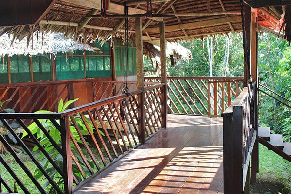 Curso de Empoderamiento y Sanación con Ayahuasca de Cuatro Semanas
