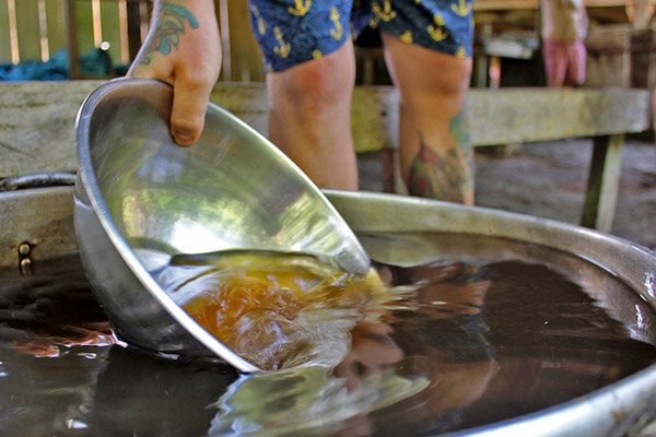 Curso de Empoderamiento y Sanación con Ayahuasca de Cuatro Semanas