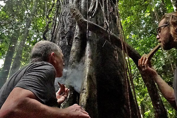 Curso de iniciación de 8 semanas con ayahuasca