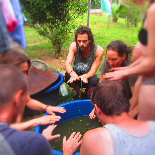 Curso de iniciación de 8 semanas con ayahuasca
