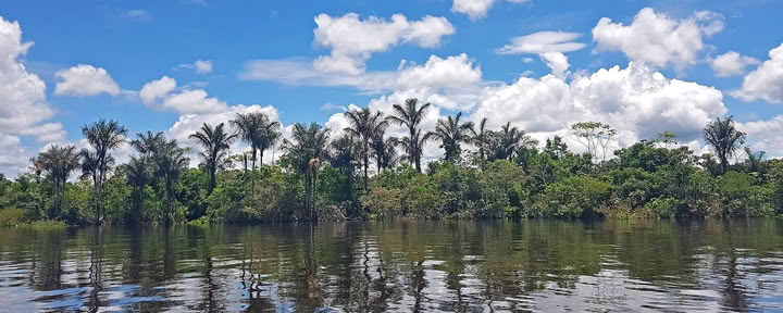 Retiro de Ayahuasca para Mujeres de 10 Días