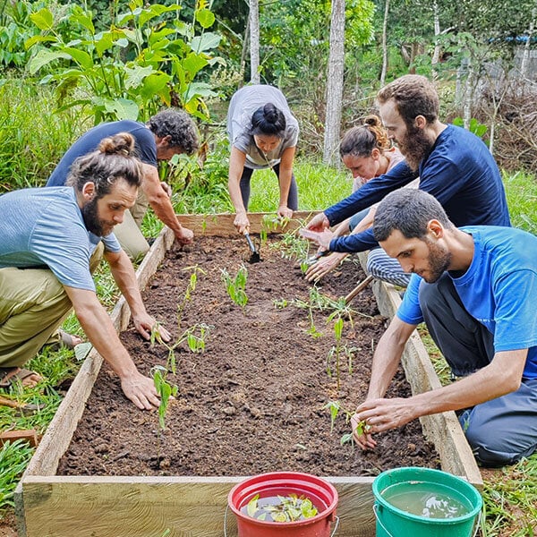 Curso de iniciación Shipibo de ayahuasca de ocho semanas en Perú – 5 de julio - 29 de agosto de 2026