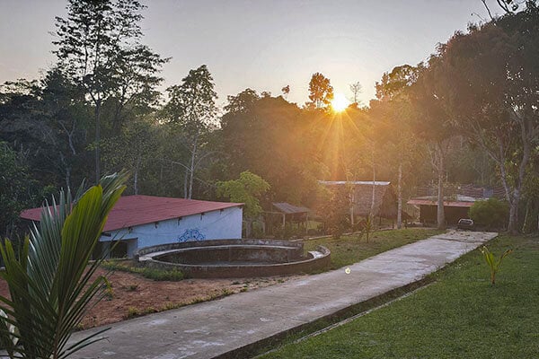 Curso de iniciación Shipibo de ayahuasca de ocho semanas en Perú – 5 de julio - 29 de agosto de 2026