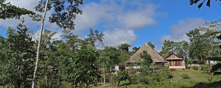 Curso de iniciación Shipibo de ayahuasca de ocho semanas en Perú – 4 de octubre - 28 de noviembre de 2026