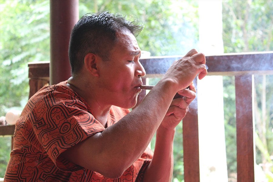 Retiro de Ayahuasca Shipibo y Dieta de Plantas