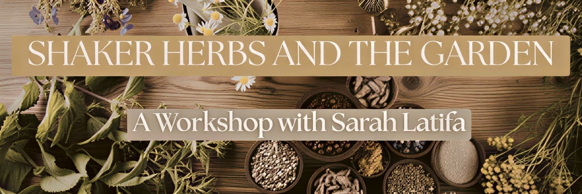 Shaker Herbs y el Jardín Medicinal — The Abode