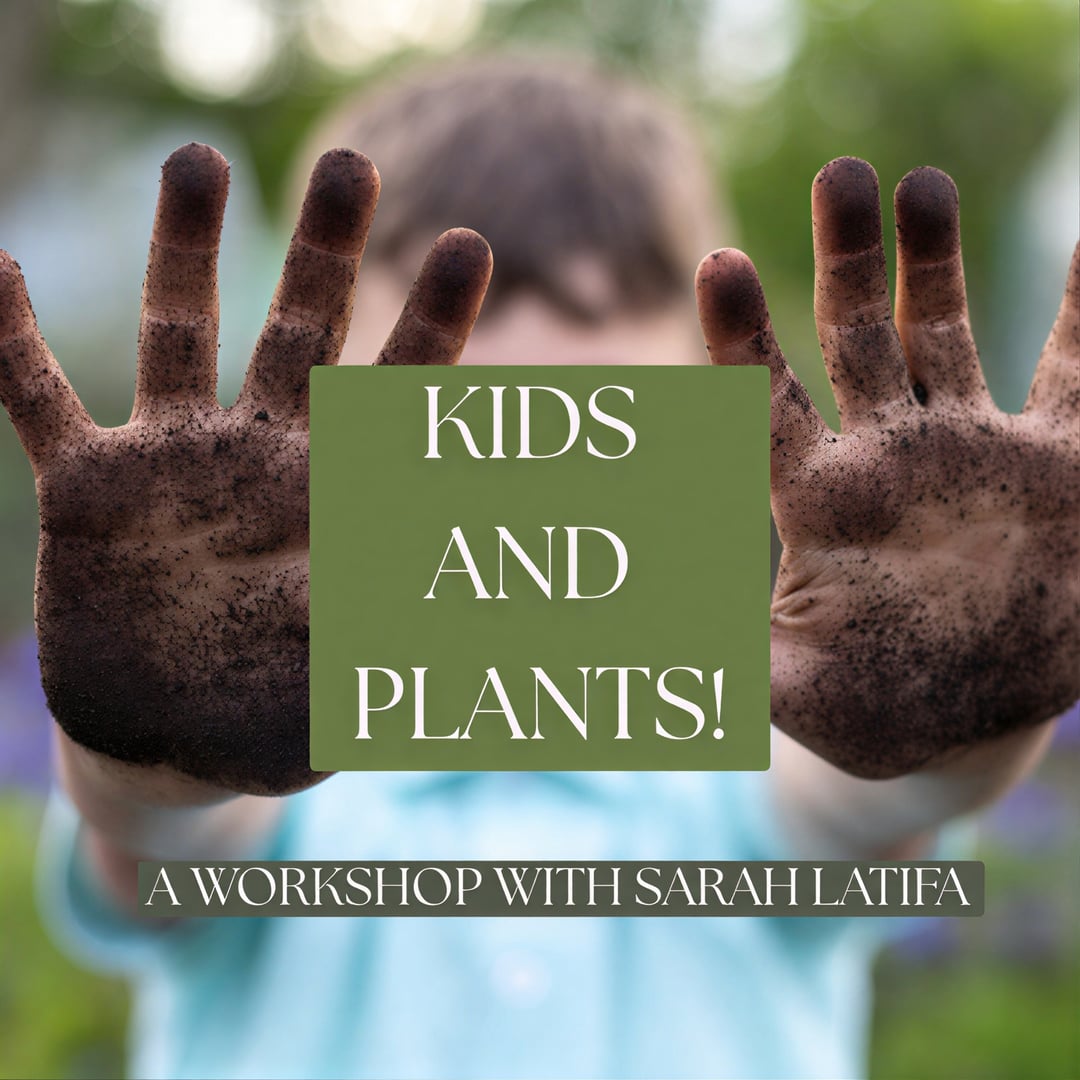 Kids y Plants! — The Abode