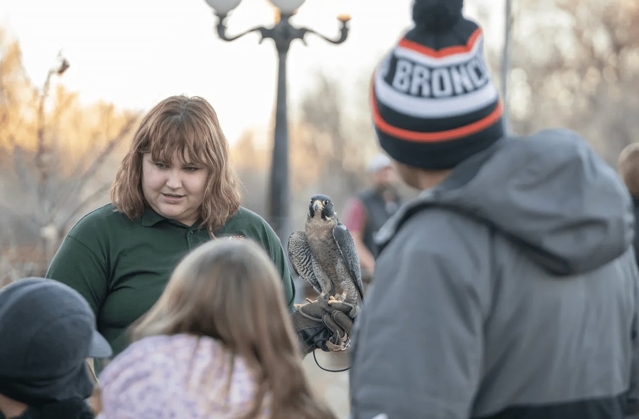 Paseos de aves del cuarto sábado de AVAS