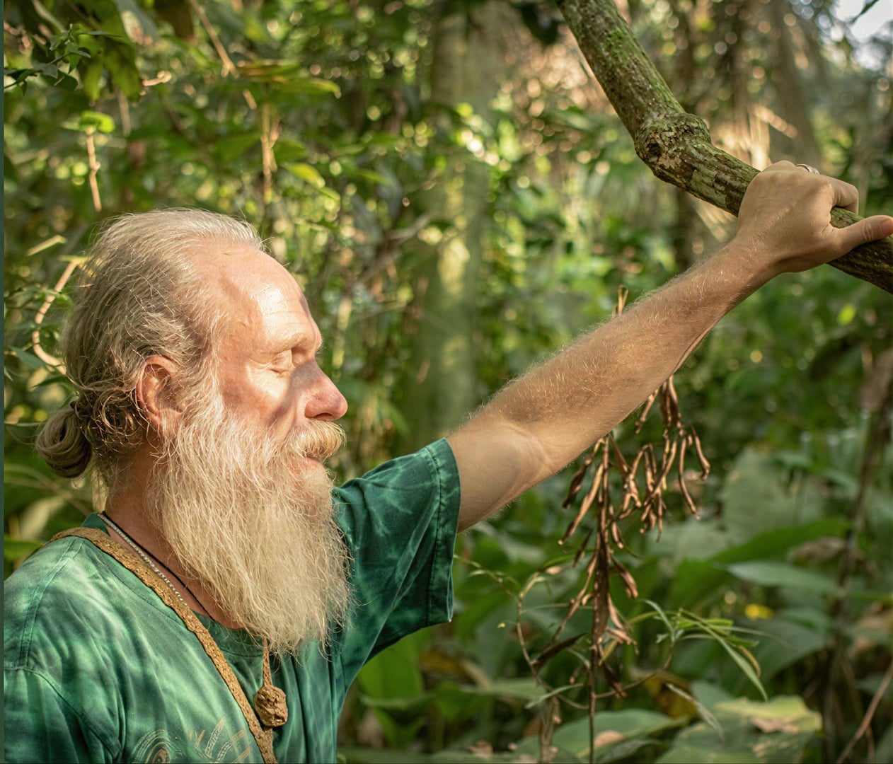 Ceremonia de Ayahuasca