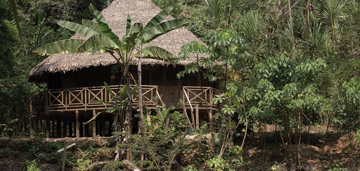 Retiro chamánico