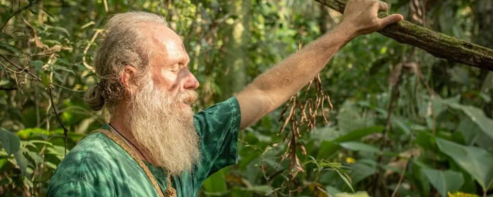 Ceremonia de Ayahuasca