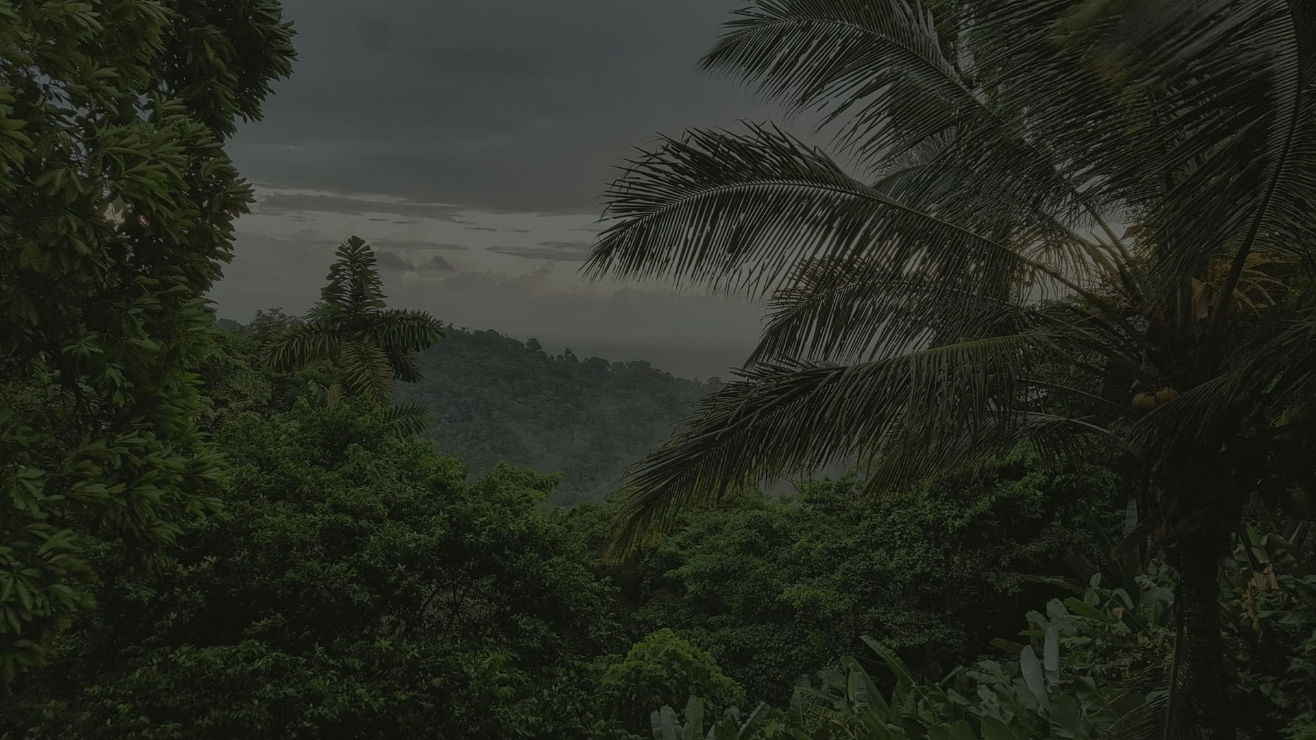 Paquete para amantes del Caribe