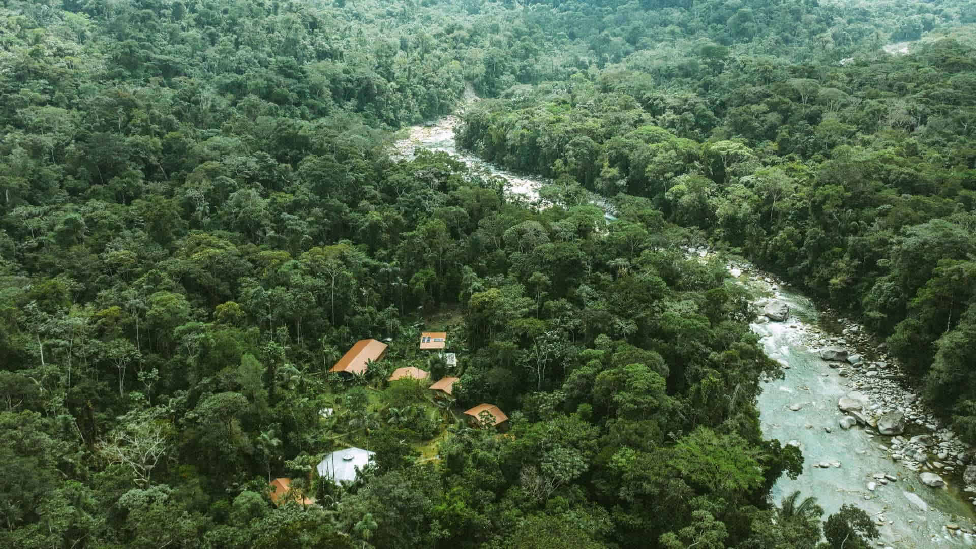 Extensión del retiro – Noviembre