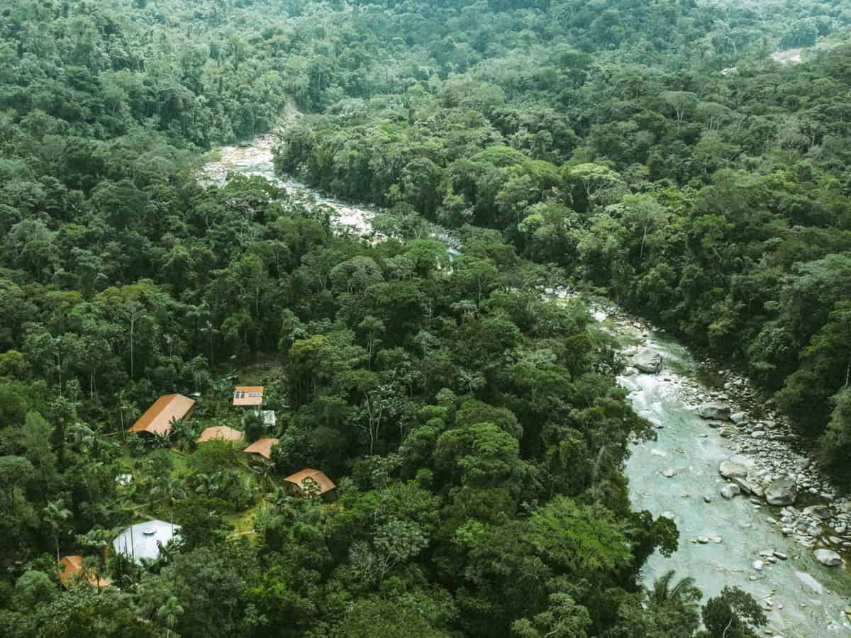 Retiro de Ayahuasca de 5 días en Ecuador