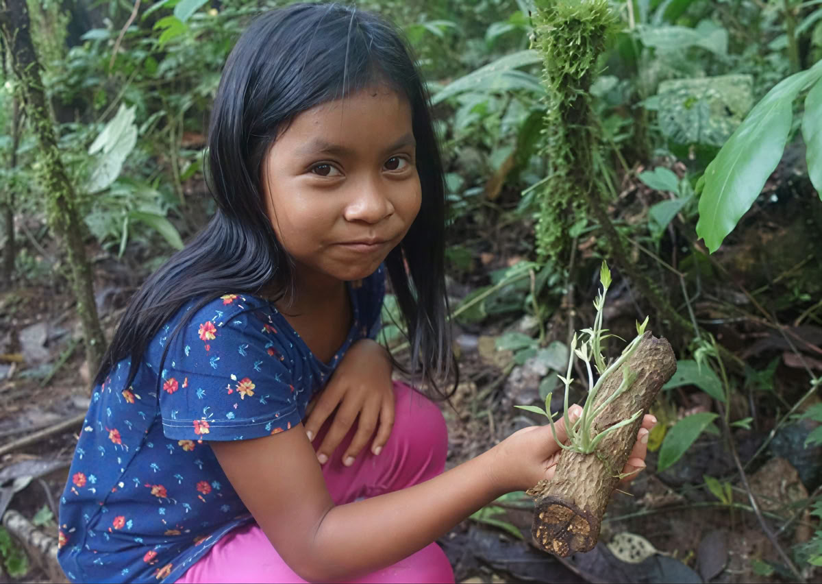 Retiro de Ayahuasca de 5 días en Ecuador