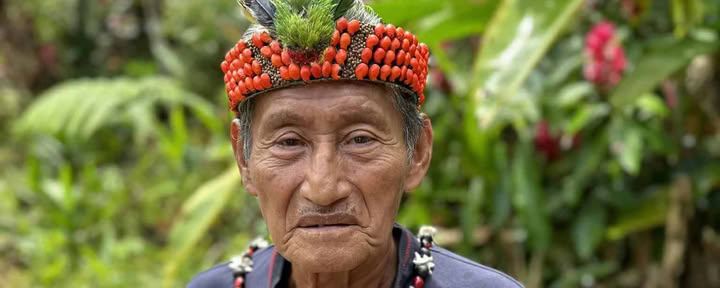 Retiro de Ayahuasca de 5 días en Ecuador