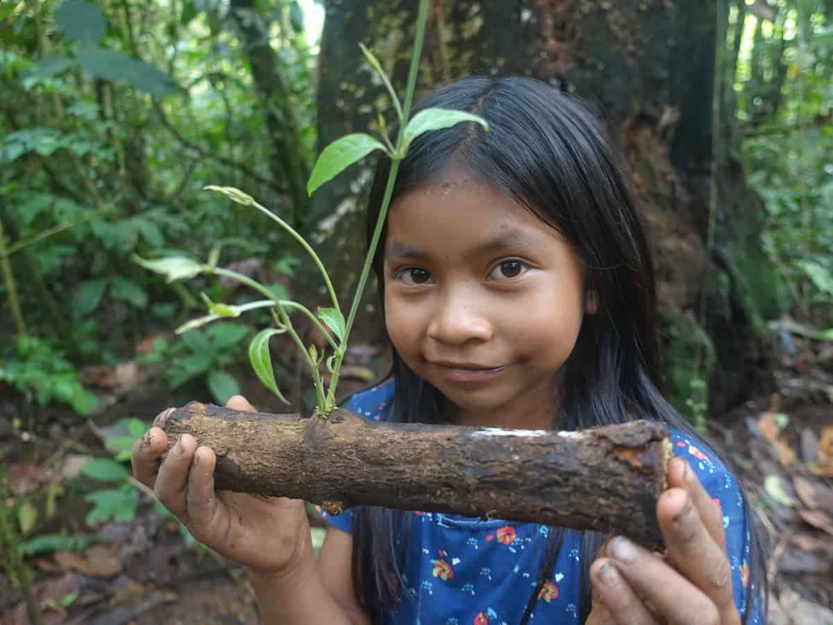Ceremonia de Ayahuasca en Ecuador