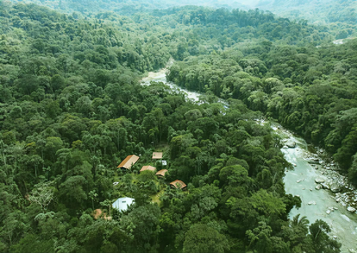 Ceremonia de Ayahuasca en Ecuador
