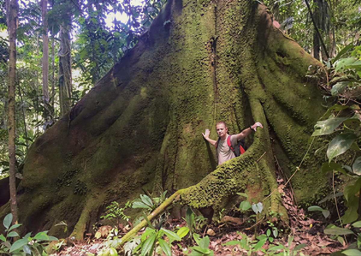 Ceremonia de Ayahuasca en Ecuador