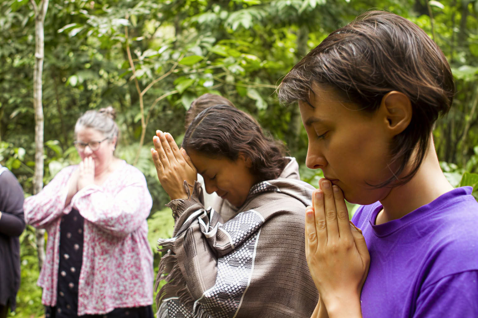 30 Días – Ayahuasca & Dieta de Plantas Maestras