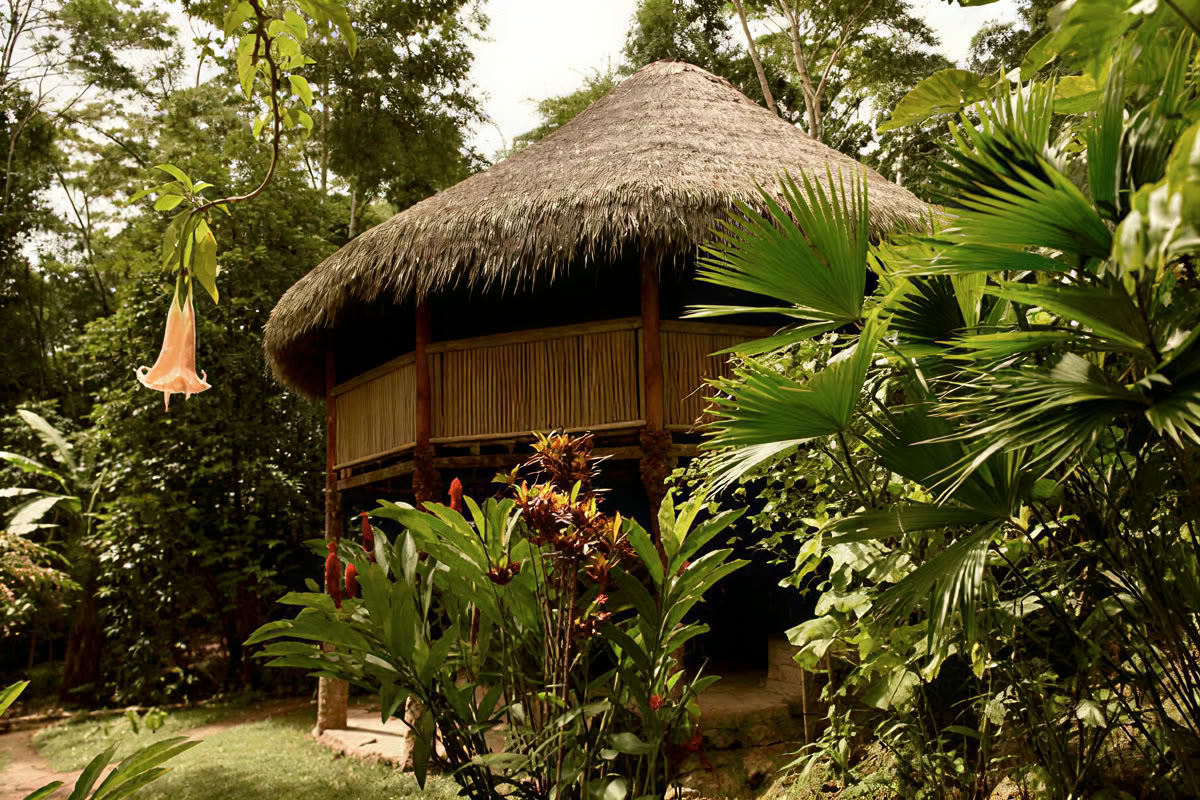 30 Días – Ayahuasca & Dieta de Plantas Maestras