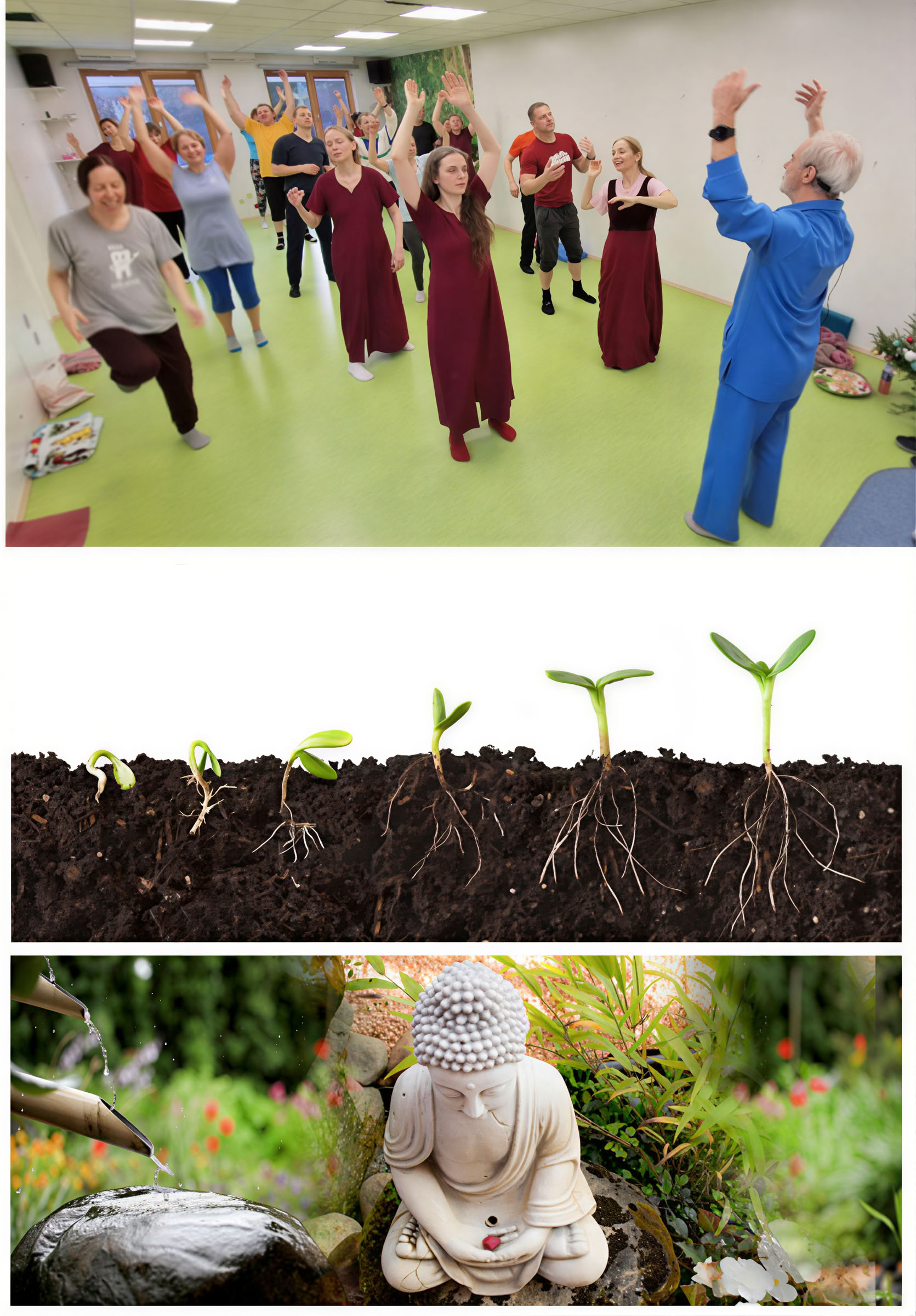 Meditacijos mokykla – 6. Conocimiento de las emociones y las energías